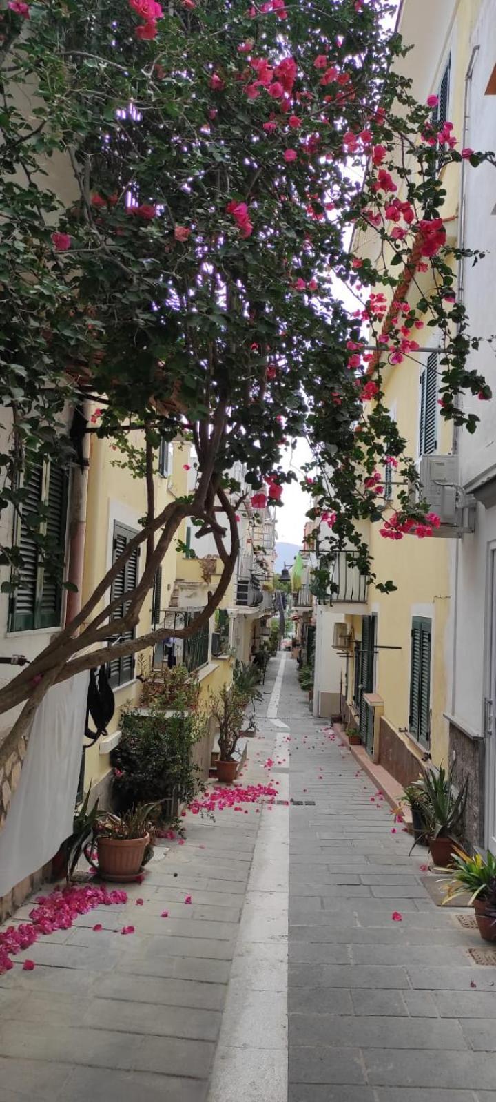 La Casa Rosa Di Giulia Ferienhaus